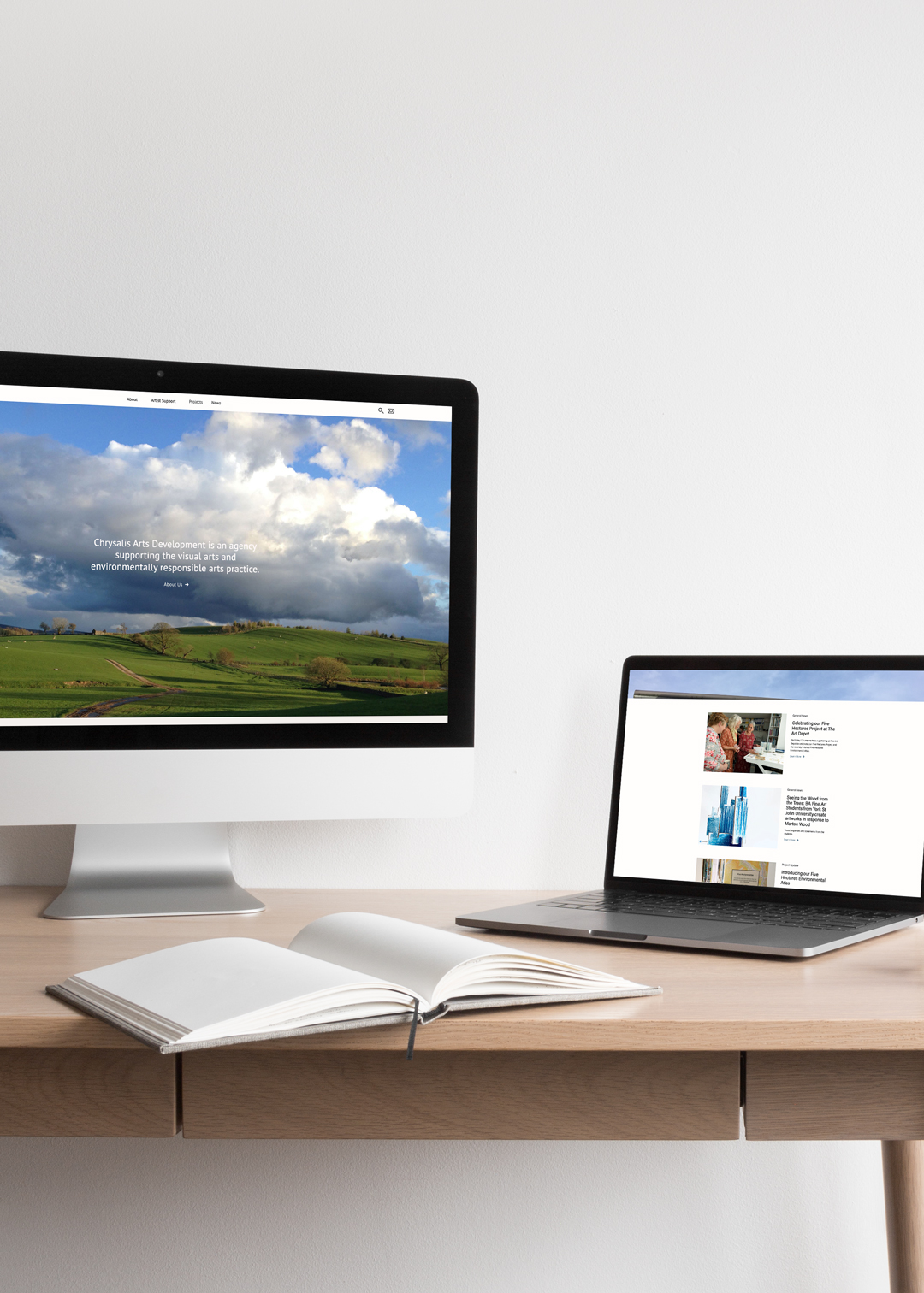 Chrysalis Arts Development Website Image